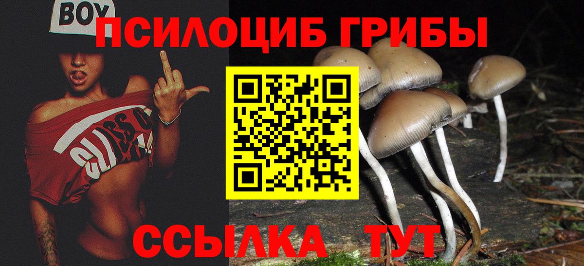 Псилоцибиновые грибы мухоморы Туймазы