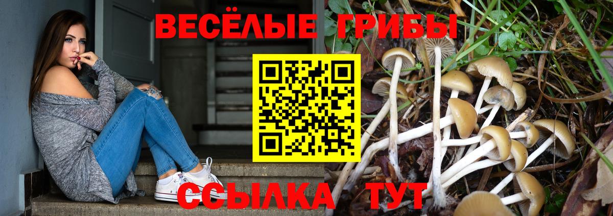 Туймазы  Псилоцибиновые грибы ЛСД  Вход с VPN  Псилоцибиновые грибы Psilocybine cubensis 